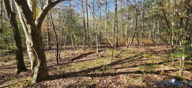 a view of entryway with a tree