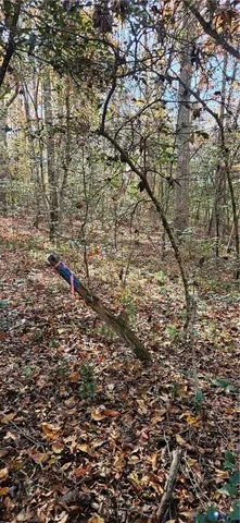 a view of a field with an ocean