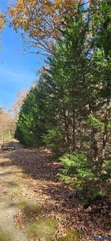 a view of a large yard with lots of green space
