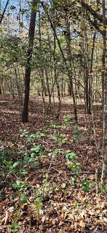 $45,000 | 1 White House Lane, Center Cross, VA 22437