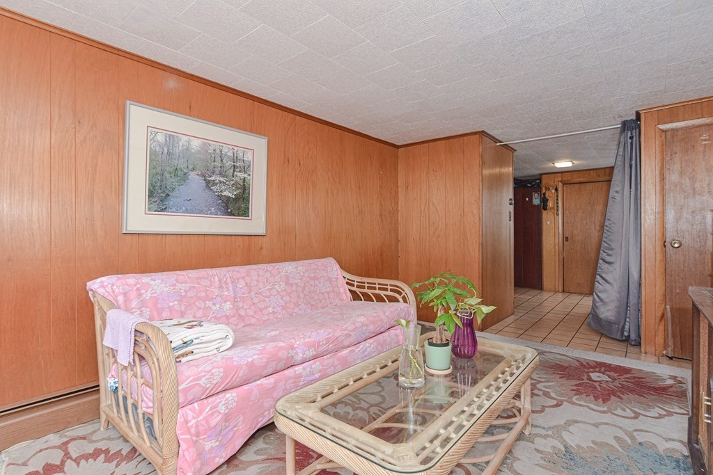 16 Rosedale Avenue Everett, MA 02149 - Photo 24 of 29 a living room with furniture and a potted plant