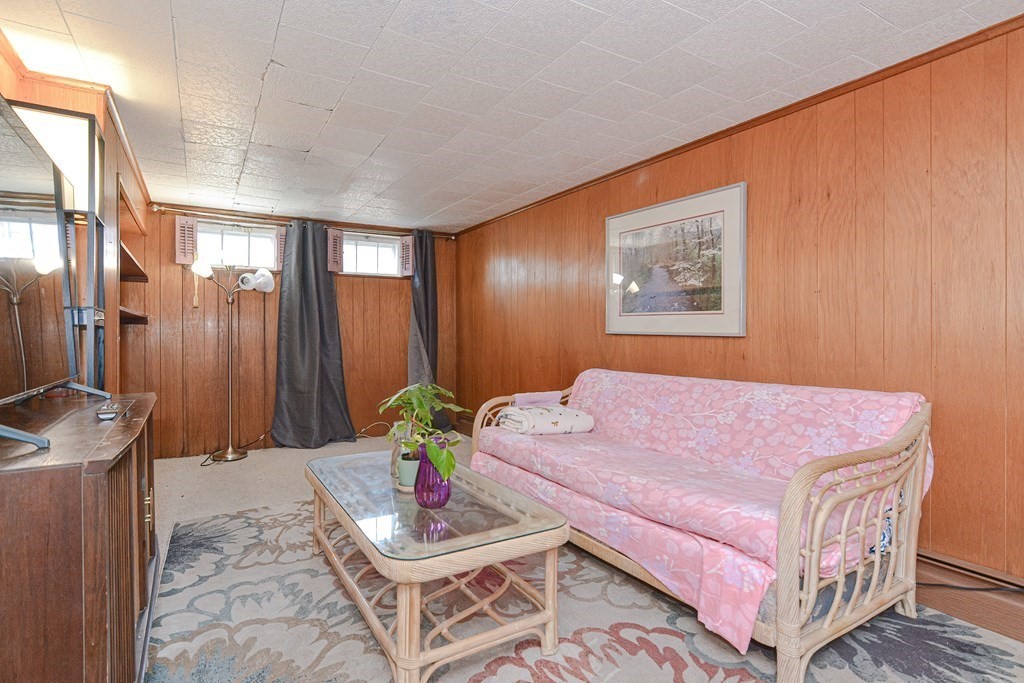 16 Rosedale Avenue Everett, MA 02149 - Photo 25 of 29 a living room with furniture and a potted plant