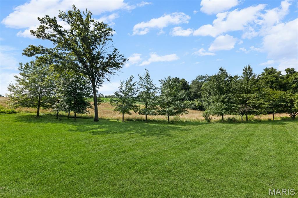 4775 South Hazel Road Edwardsville, IL 62025 - Photo 8 of 73