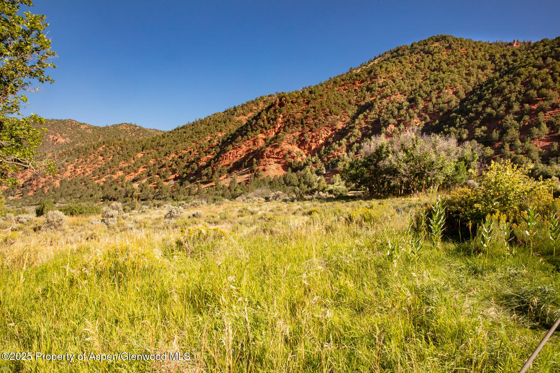 Tbd Lower River Road Snowmass, CO 81654 - Photo 12 of 25 108A5789