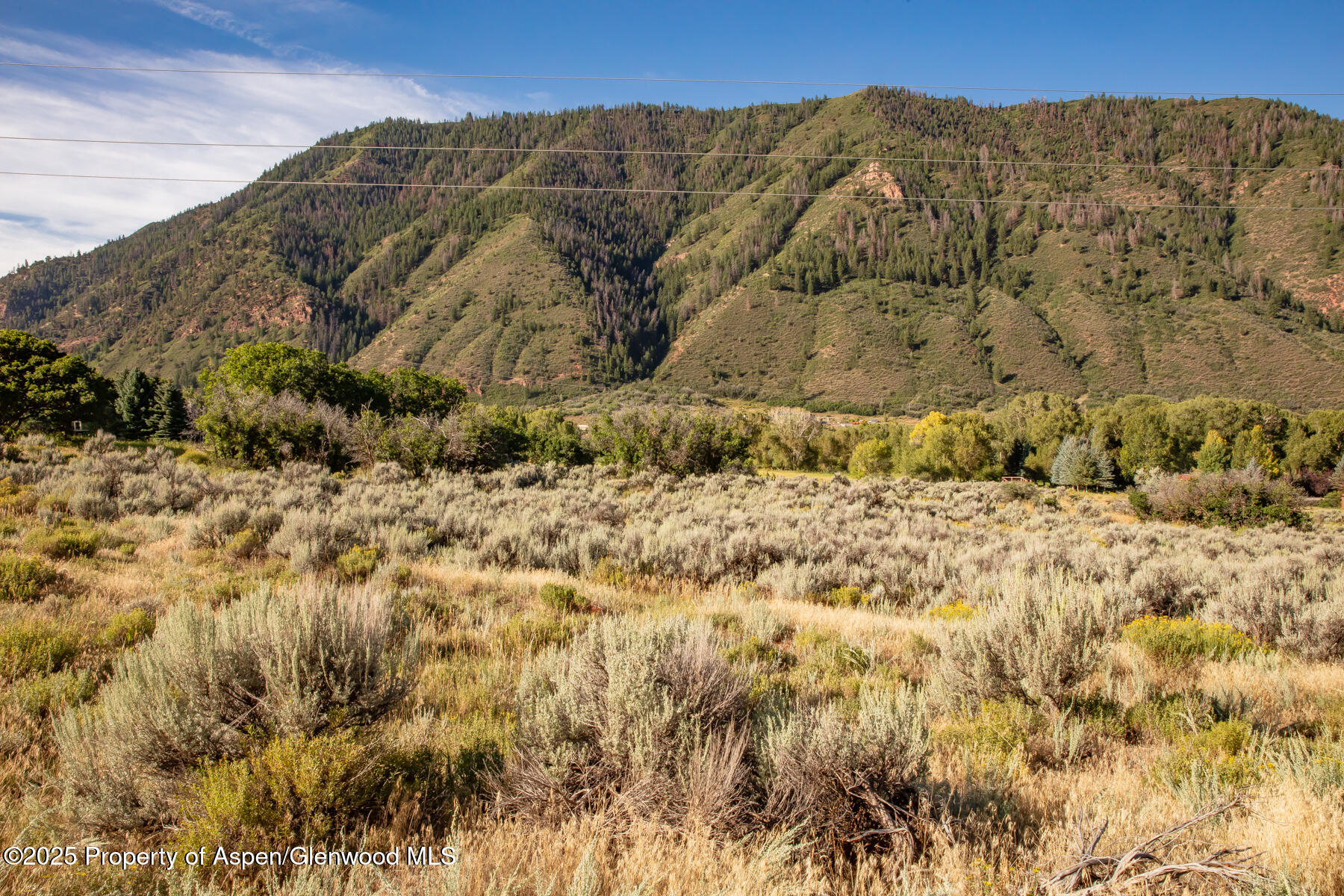 Tbd Lower River Road Snowmass, CO 81654 - Photo 13 of 25 108A5769