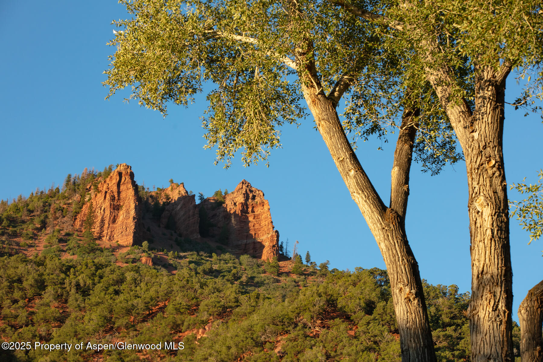Tbd Lower River Road Snowmass, CO 81654 - Photo 25 of 25 108A5607