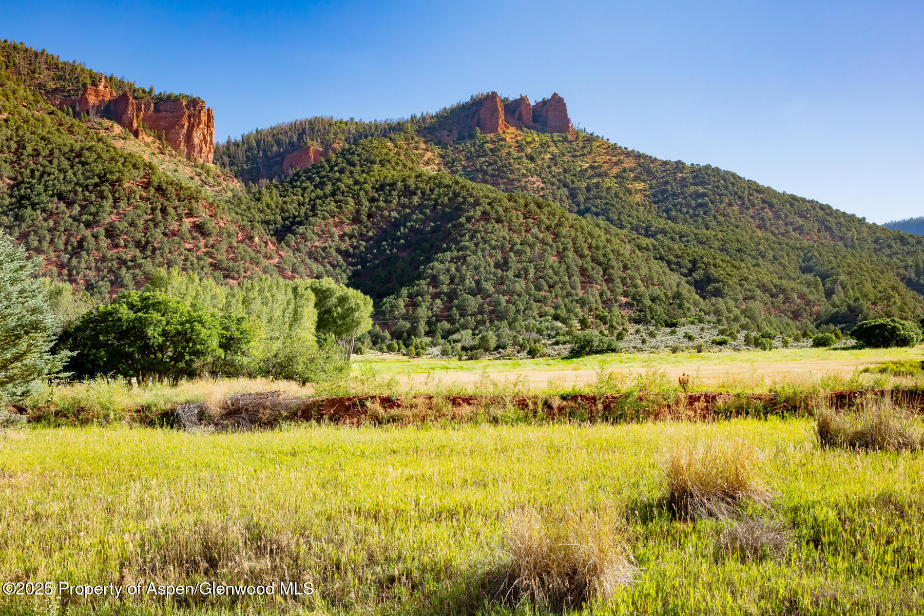 Tbd Lower River Road Snowmass, CO 81654 - Photo 7 of 25 108A5814