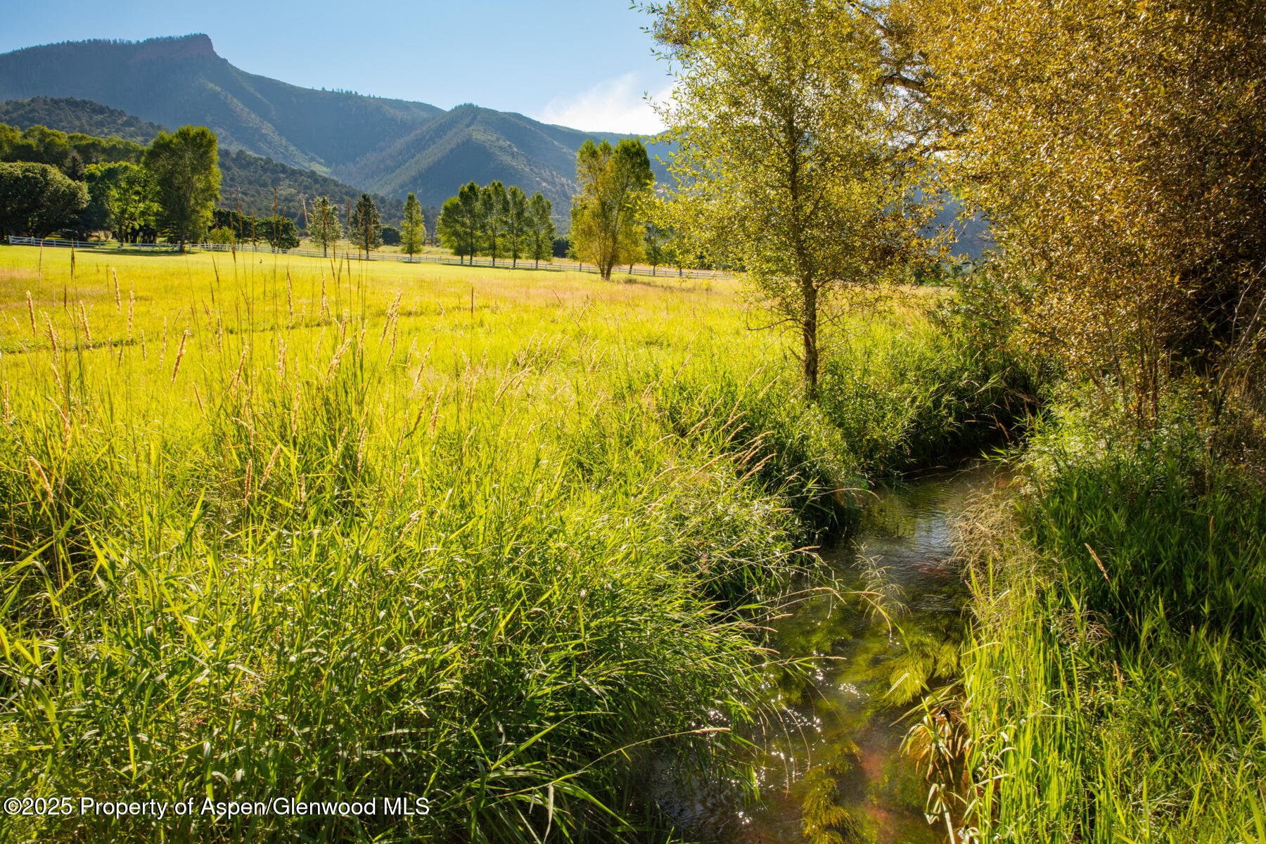 Tbd Lower River Road Snowmass, CO 81654 - Photo 8 of 25 108A5799