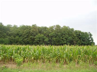 Schweitzer Road Mendon, MI 49072 - Photo 1 of 2 Primary Photo