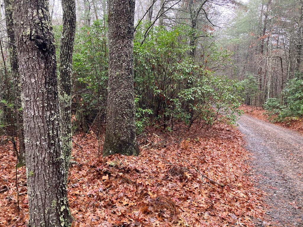 3.93 A Seneca Road Murphy, NC 28906 - Photo 19 of 20 Gallery Image 19