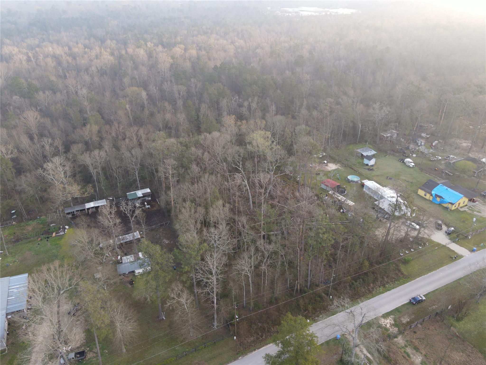 26889 Short Street Splendora, TX 77372 - Photo 4 of 6 a view of a forest