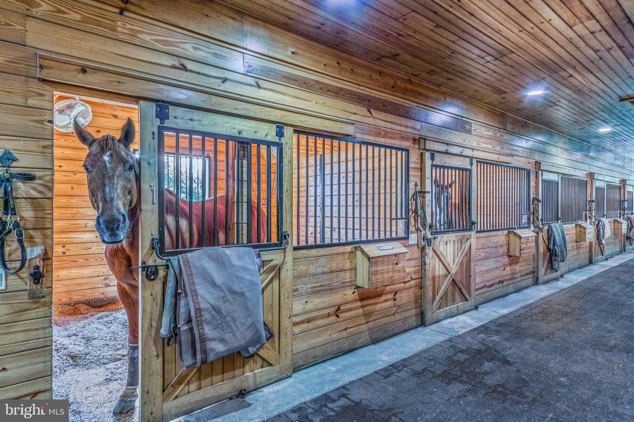 296 Sharon Road Robbinsville, NJ 08691 - Photo 52 of 107 Main Barn Stables