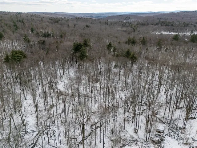 a view of a city with lush green forest