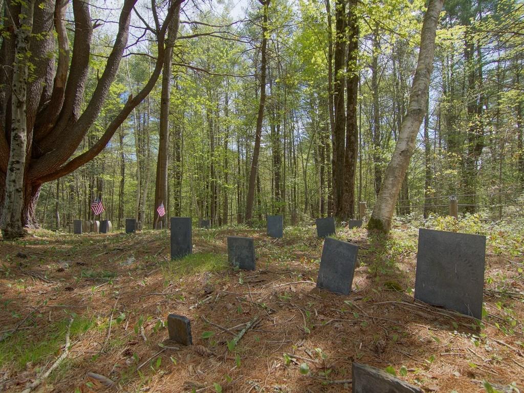 0 Blackberry Hill Road Berwick, ME 03901 - Photo 13 of 18 Spring comes to the ancient burial...