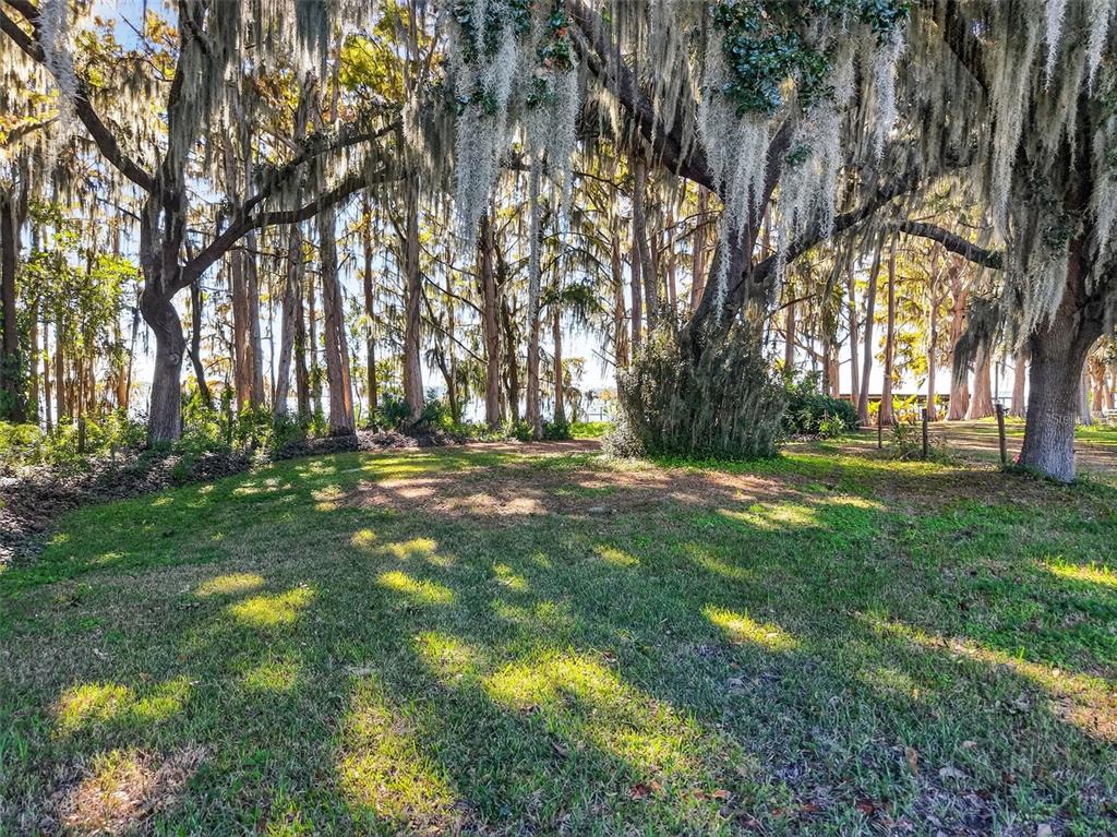 11911 Lane Park Road Tavares, FL 32778 - Photo 2 of 30 Gallery Image 2
