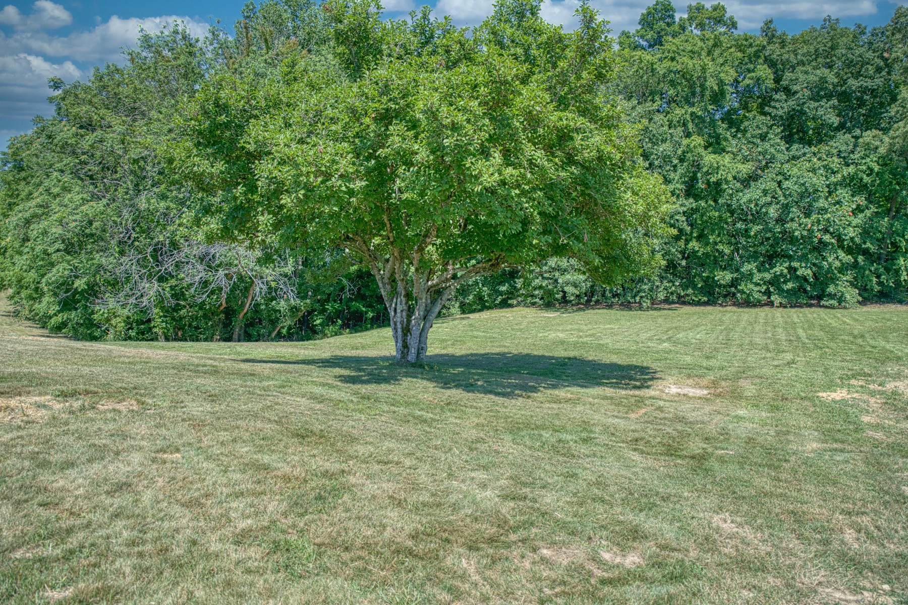 10335 Goff Ridge Road Baxter, TN 38544 - Photo 22 of 28 Gallery Image 22
