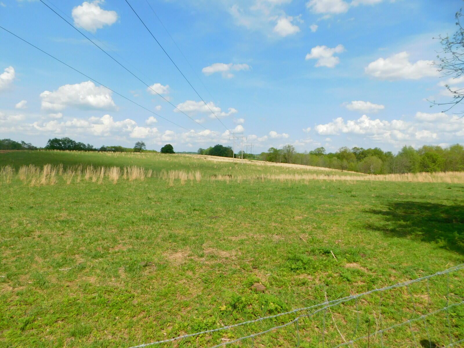 0 Robinson Road Cynthiana, KY 41031 - Photo 8 of 15 Gallery Image 8