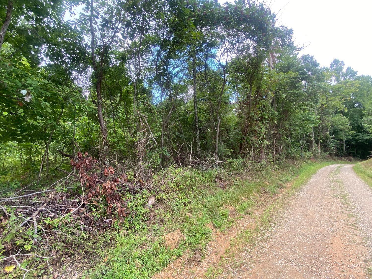 4345 Mt Unger Road Otway, OH 45657 - Photo 4 of 9