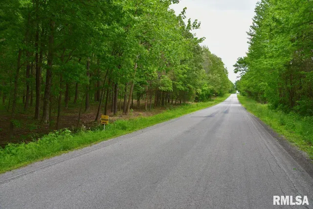 $42,475 | 2 Battleford Road, Stonefort, IL 62987