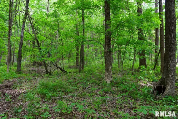 $39,970 | 2 Battleford Road, Stonefort, IL 62987