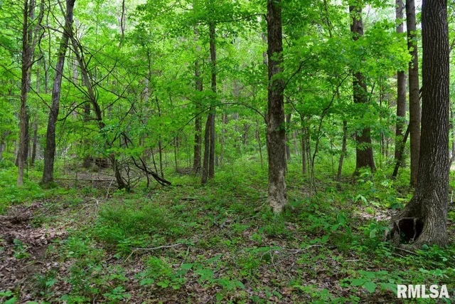 $42,475 | 2 Battleford Road, Stonefort, IL 62987