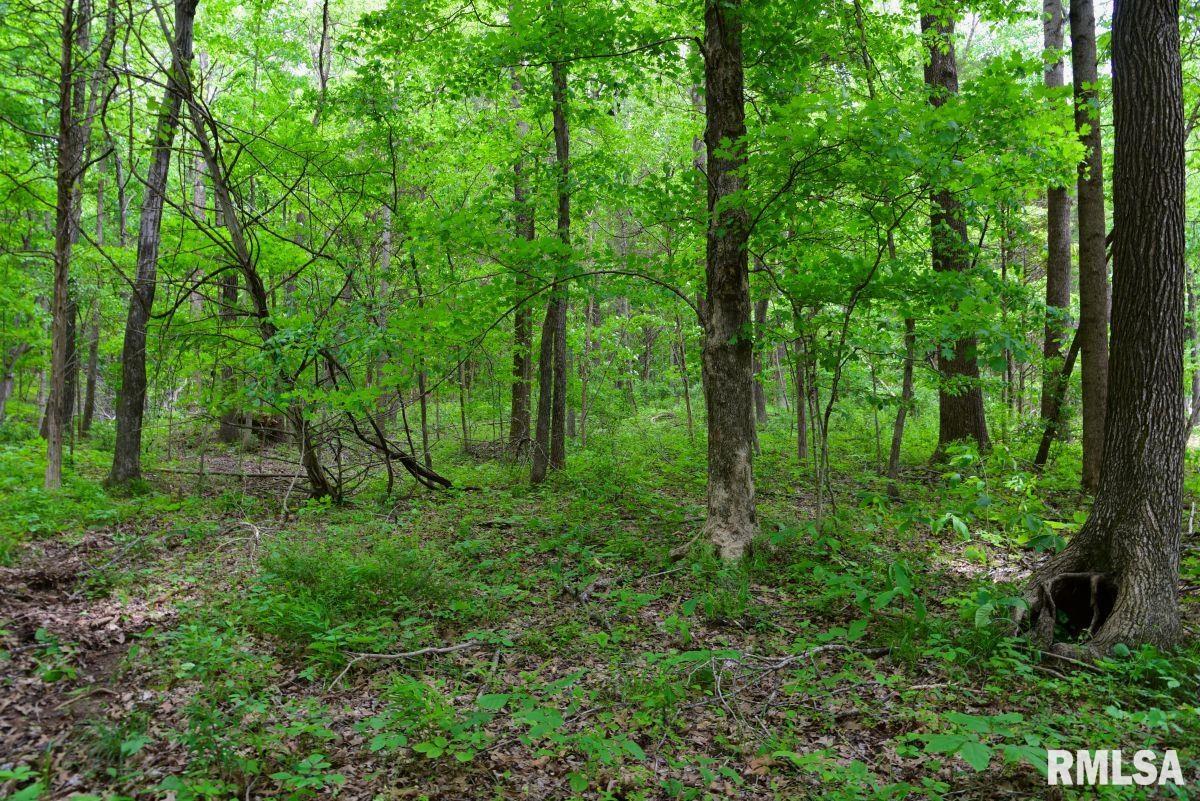 2 Battleford Road Stonefort, IL 62987 - Photo 11 of 25