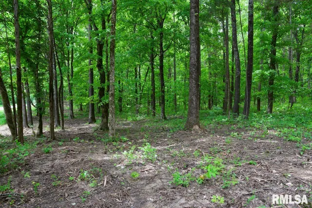 $42,475 | 2 Battleford Road, Stonefort, IL 62987