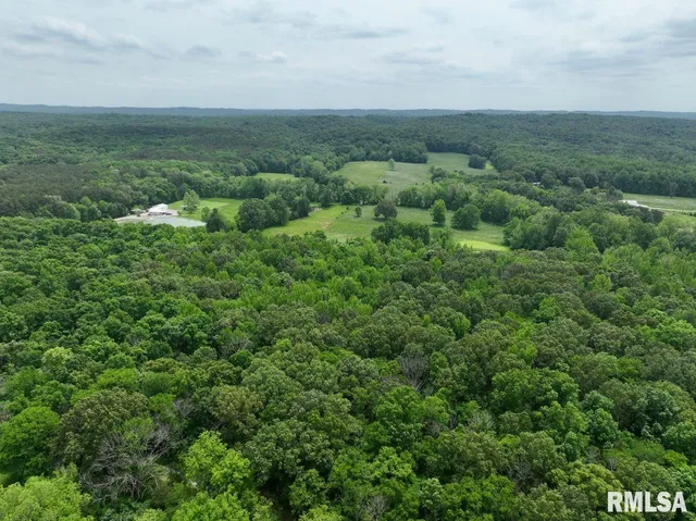 $42,475 | 2 Battleford Road, Stonefort, IL 62987