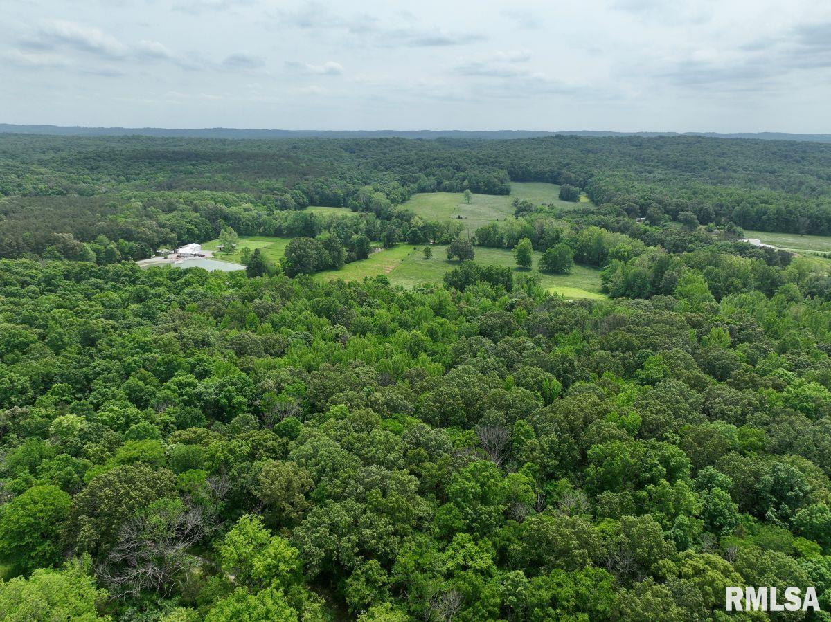 2 Battleford Road Stonefort, IL 62987 - Photo 13 of 25