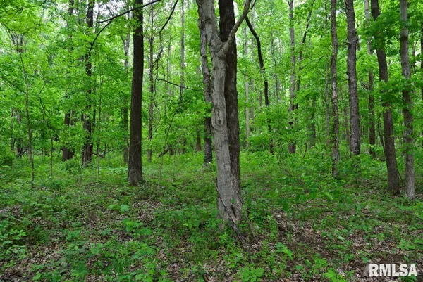 $39,970 | 2 Battleford Road, Stonefort, IL 62987