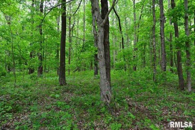 $42,475 | 2 Battleford Road, Stonefort, IL 62987