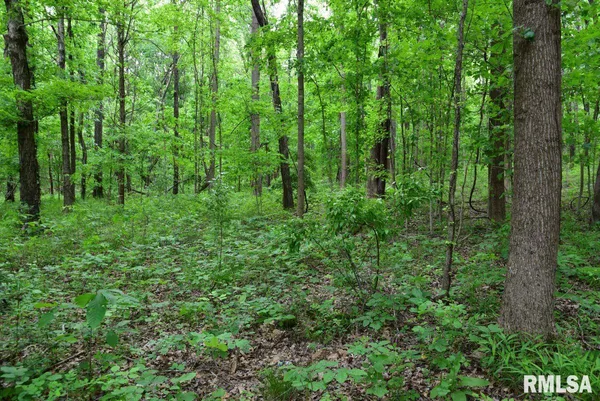 $39,970 | 2 Battleford Road, Stonefort, IL 62987