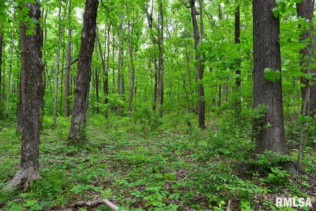 $42,475 | 2 Battleford Road, Stonefort, IL 62987