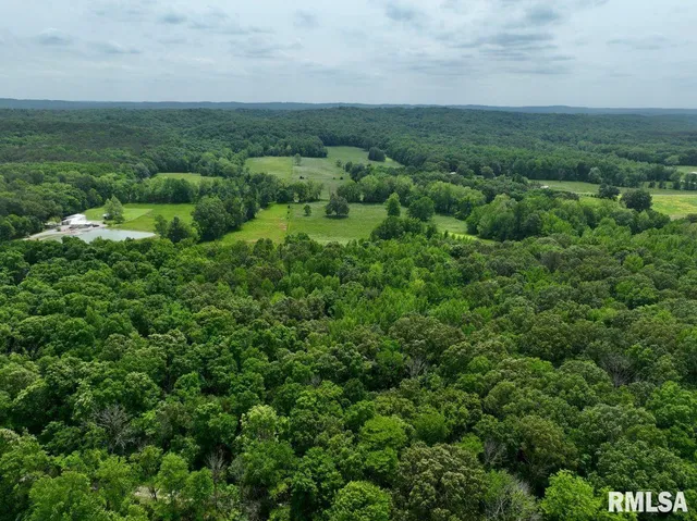 $42,475 | 2 Battleford Road, Stonefort, IL 62987