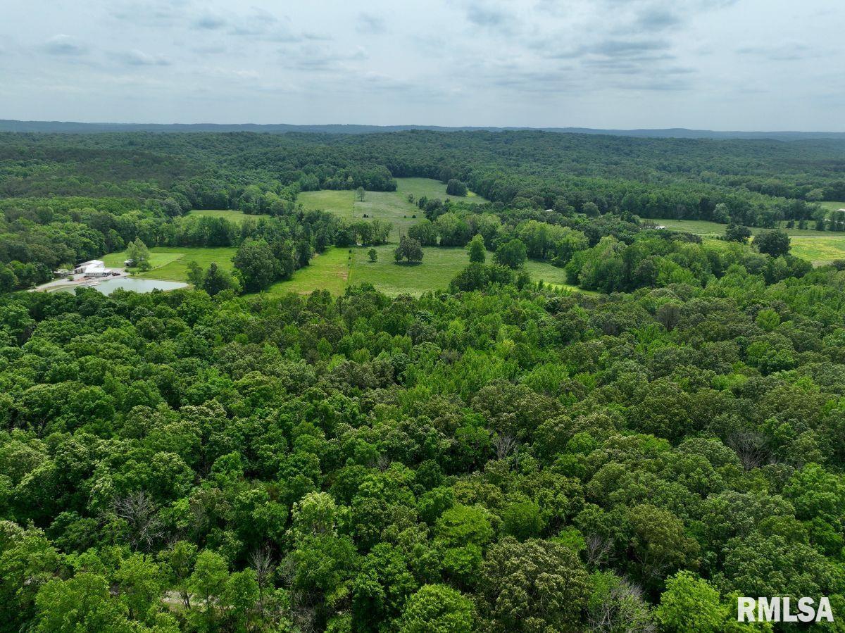 2 Battleford Road Stonefort, IL 62987 - Photo 17 of 25
