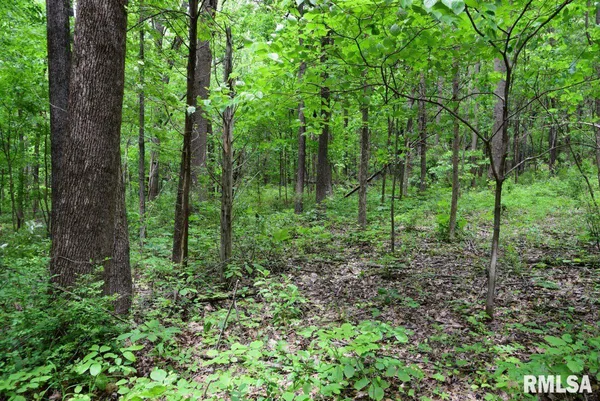 $39,970 | 2 Battleford Road, Stonefort, IL 62987