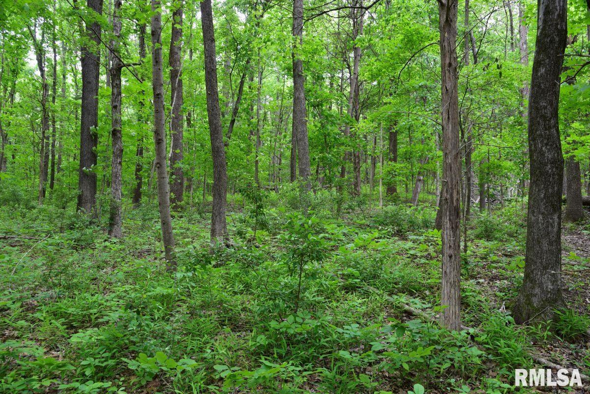 2 Battleford Road Stonefort, IL 62987 - Photo 19 of 25