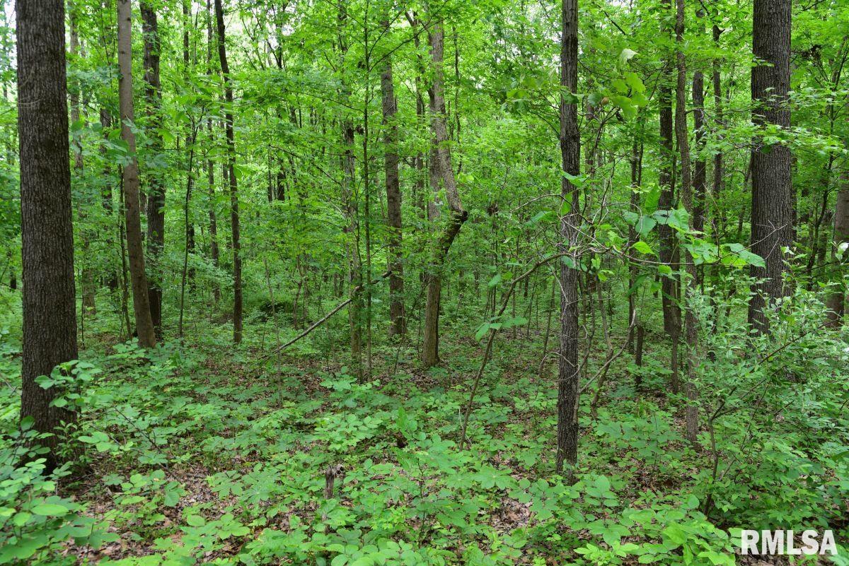 2 Battleford Road Stonefort, IL 62987 - Photo 20 of 25