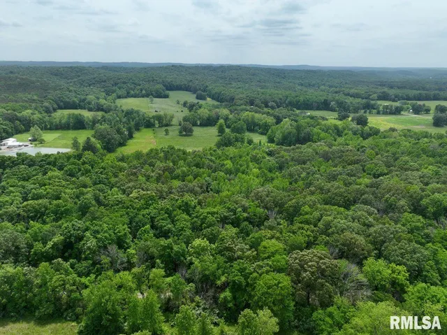 $42,475 | 2 Battleford Road, Stonefort, IL 62987