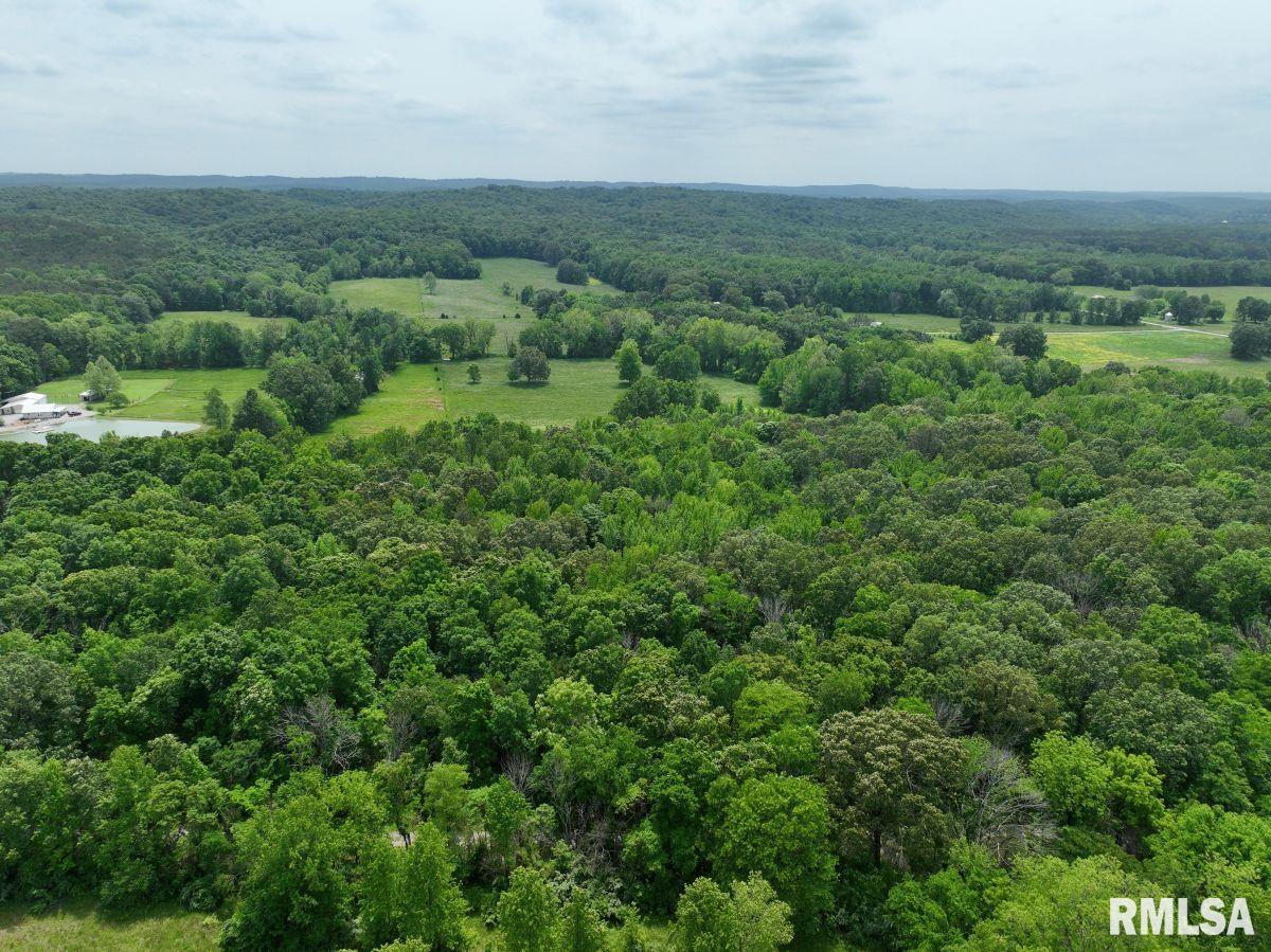 2 Battleford Road Stonefort, IL 62987 - Photo 21 of 25