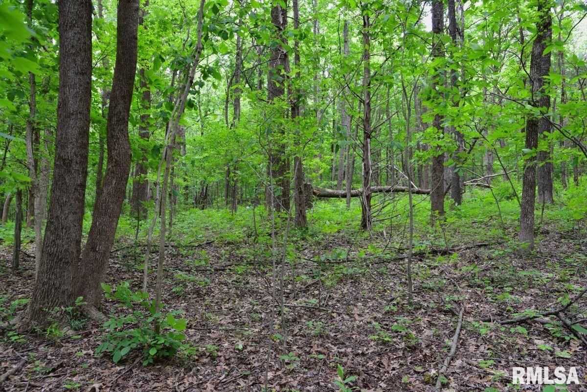 2 Battleford Road Stonefort, IL 62987 - Photo 22 of 25