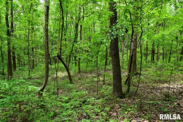 $39,970 | 2 Battleford Road, Stonefort, IL 62987