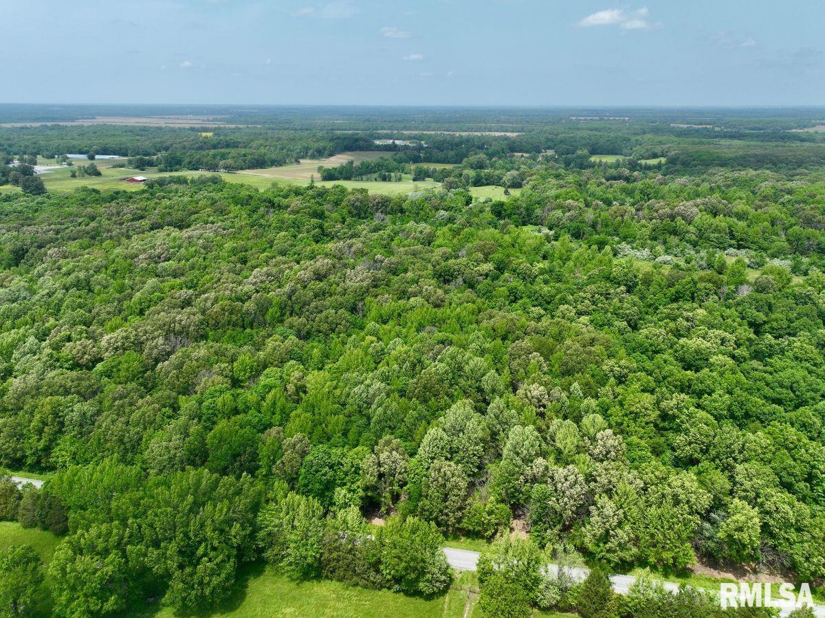 2 Battleford Road Stonefort, IL 62987 - Photo 25 of 25