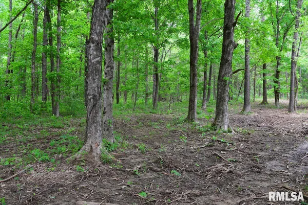 $39,970 | 2 Battleford Road, Stonefort, IL 62987