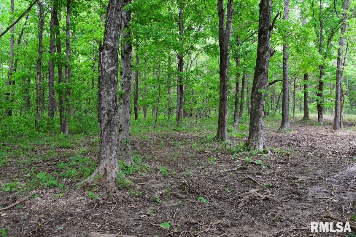 2 Battleford Road Stonefort, IL 62987 - Photo 3 of 25