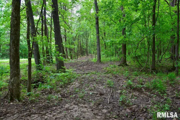 $39,970 | 2 Battleford Road, Stonefort, IL 62987