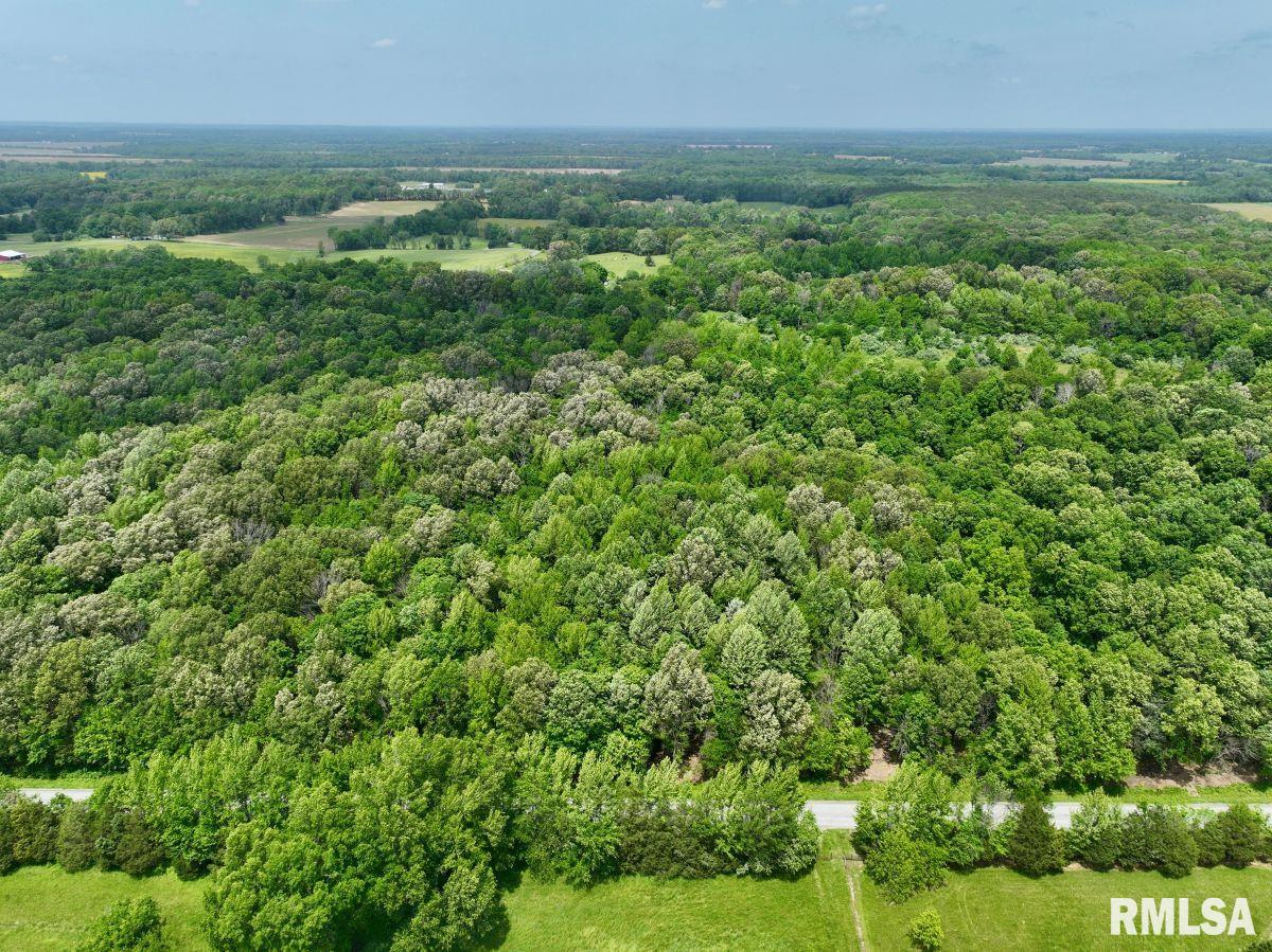 2 Battleford Road Stonefort, IL 62987 - Photo 5 of 25