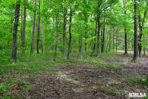 $39,970 | 2 Battleford Road, Stonefort, IL 62987