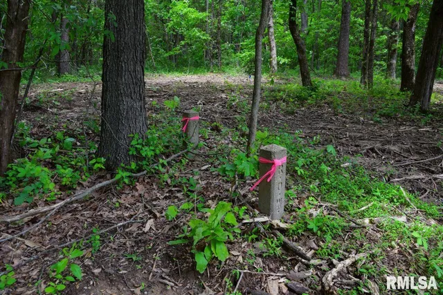 $42,475 | 2 Battleford Road, Stonefort, IL 62987