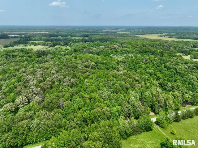 $42,475 | 2 Battleford Road, Stonefort, IL 62987